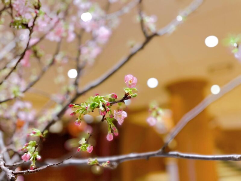 都ホテル岐阜長良川のロビー装花　桜