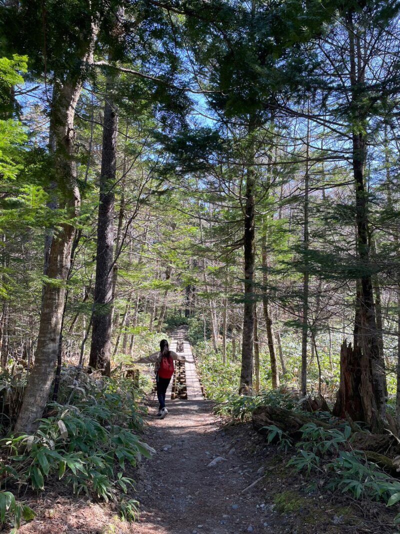 岐阜の結婚相談所グリーンリングのブログの画像　旅行　上高地