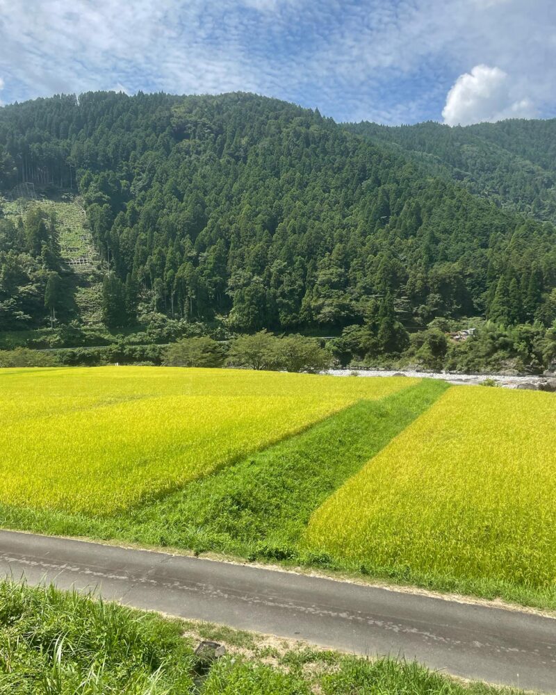 岐阜の結婚相談所グリーンリングのブログの画像　旅　郡上八幡