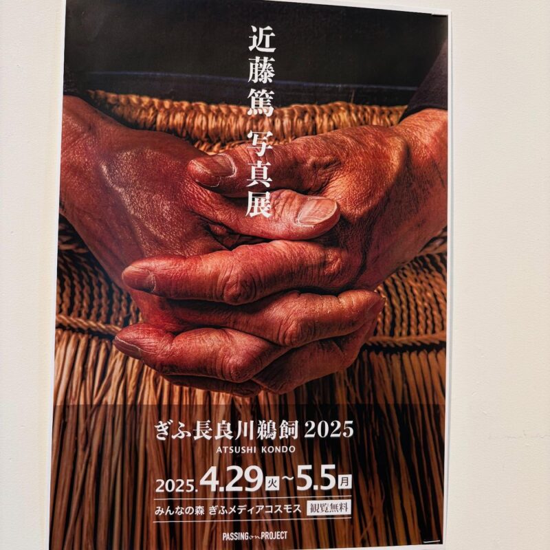 岐阜の結婚相談所グリーンリングのブログの画像　写真展