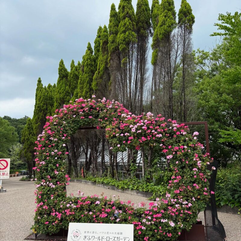 岐阜の結婚相談所グリーンリングのブログの画像 デート ハート