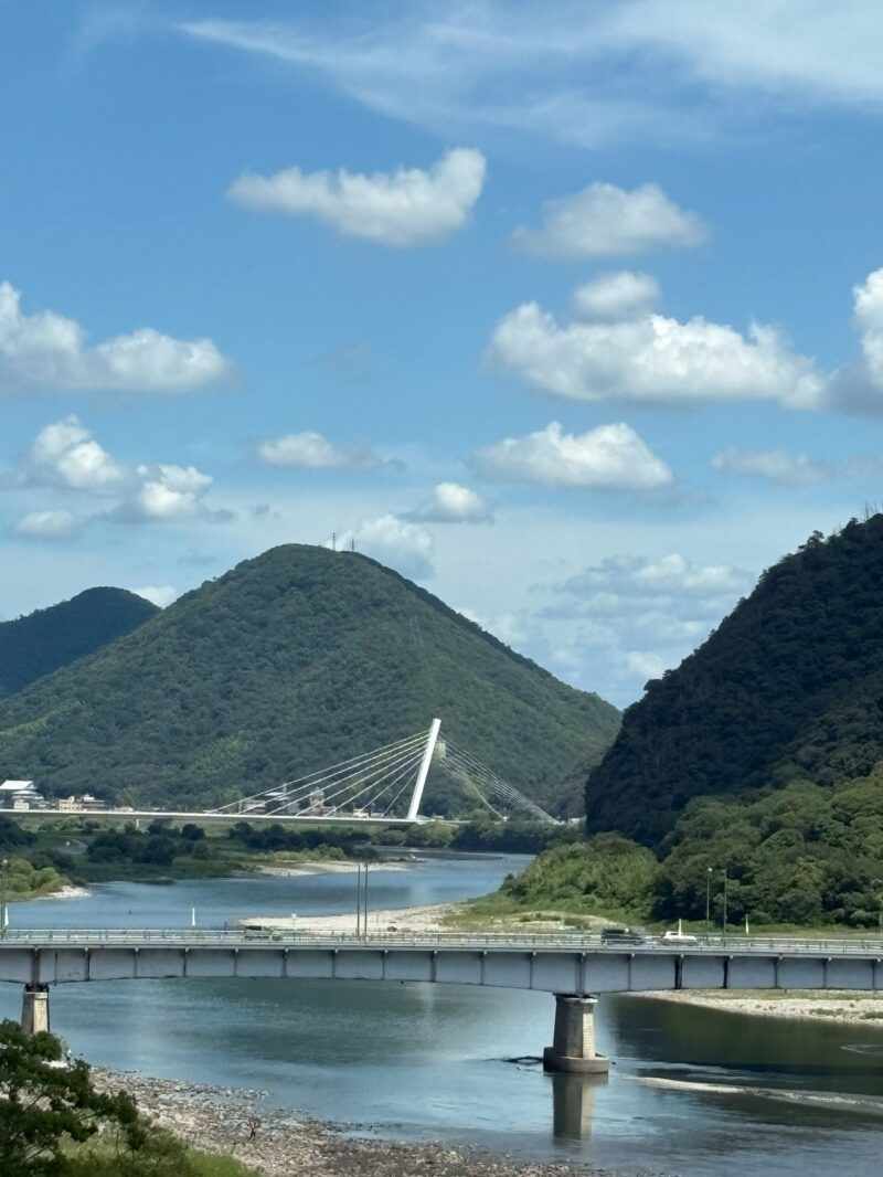 岐阜の結婚相談所グリーンリングのブログの画像 金華山