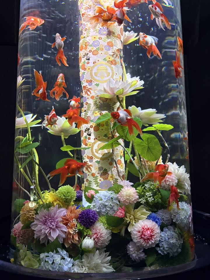 岐阜の結婚相談所グリーンリングのブログの画像　アートアクアリウム