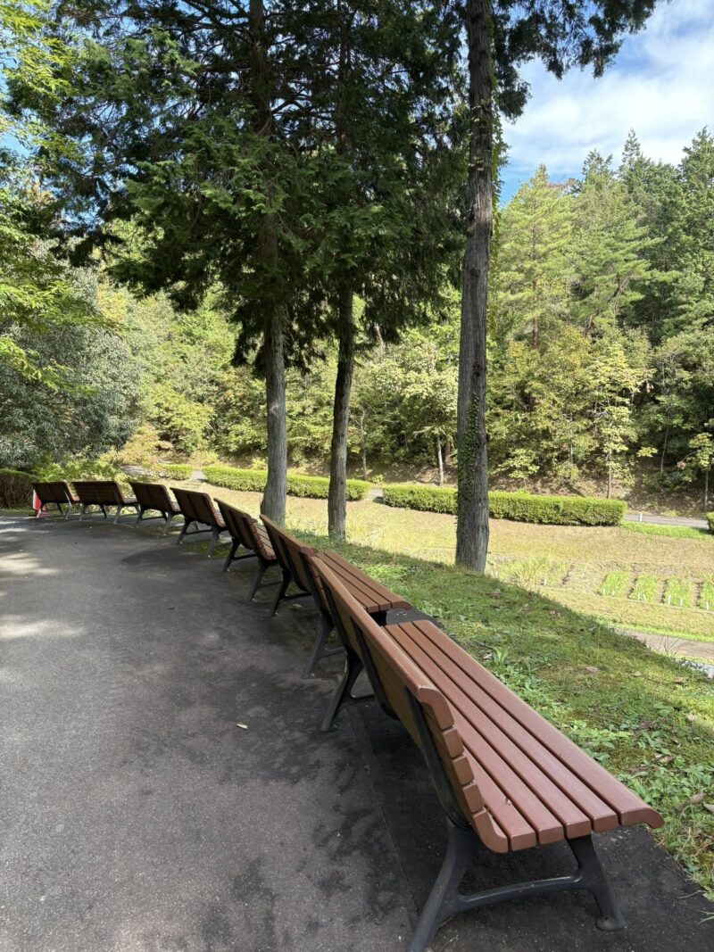 岐阜の結婚相談所グリーンリングのブログの画像　百年公園