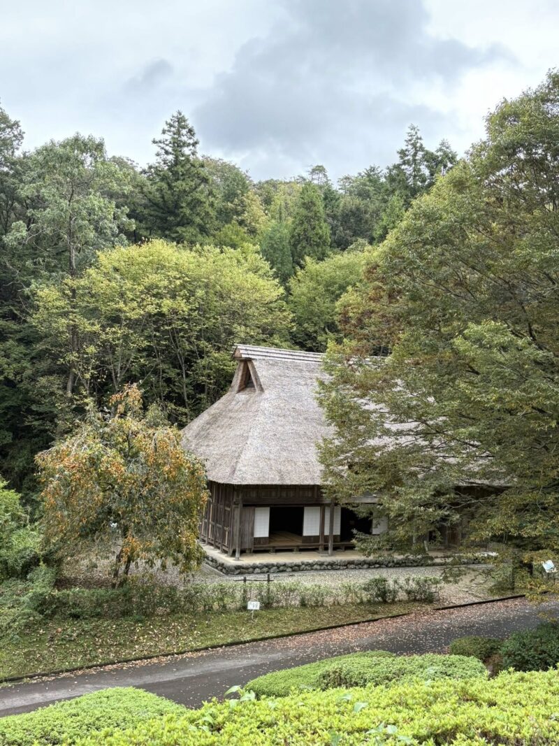 岐阜の結婚相談所グリーンリングのブログの画像　百年公園