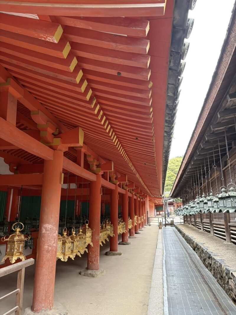 岐阜の結婚相談所グリーンリングのブログの画像　奈良