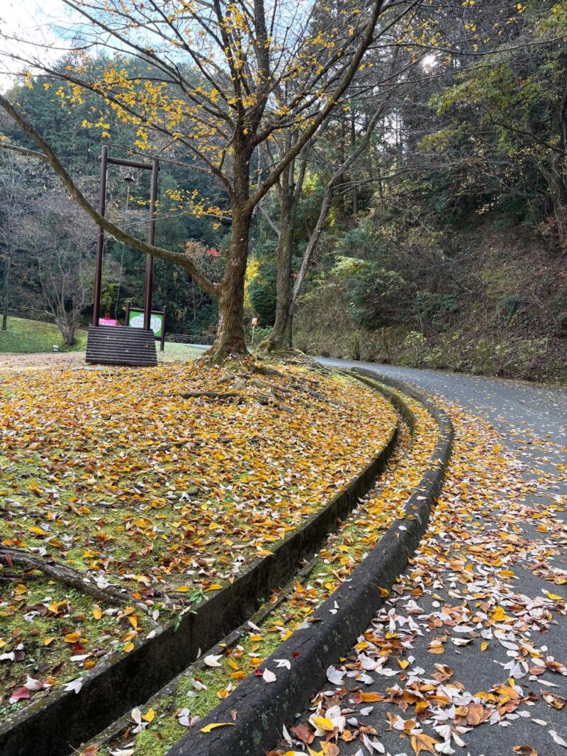岐阜の結婚相談所グリーンリングのブログの画像　公園