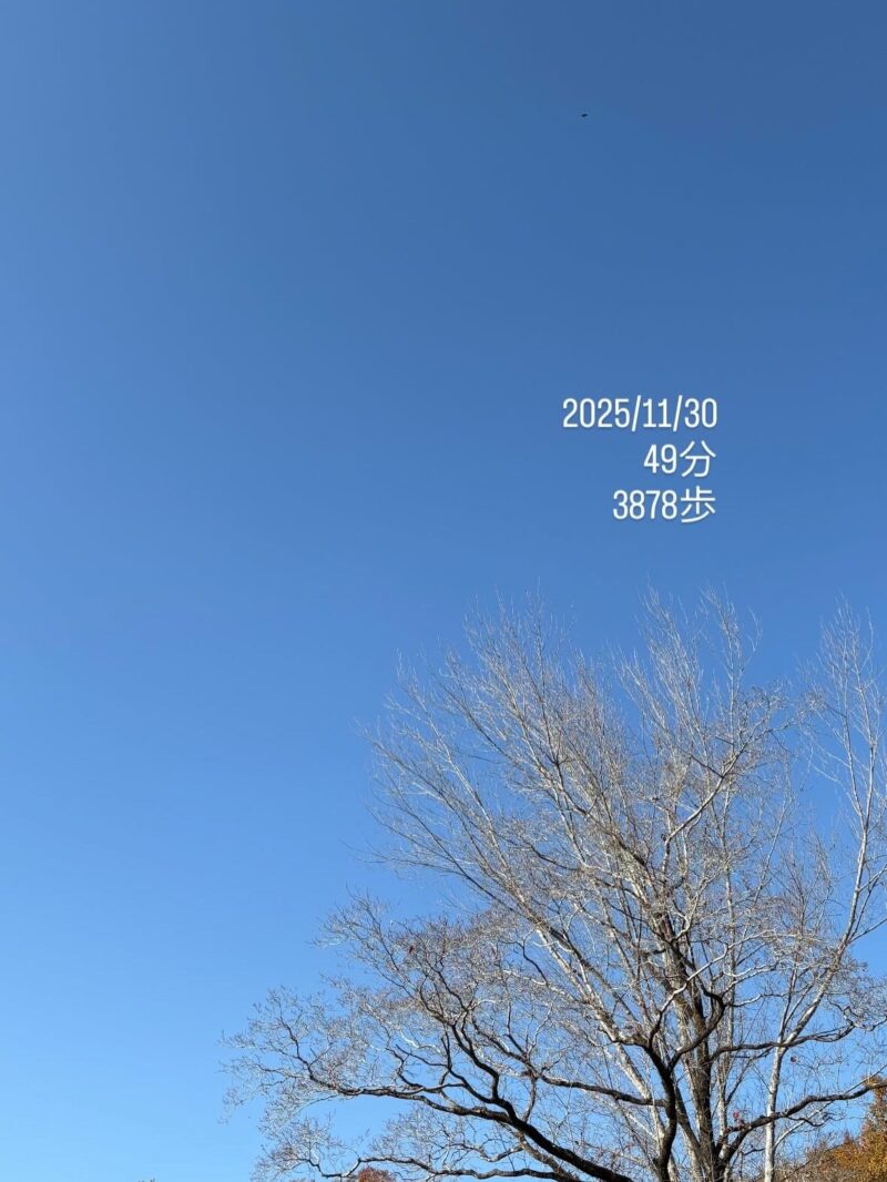 岐阜の結婚相談所グリーンリングのブログの画像　公園