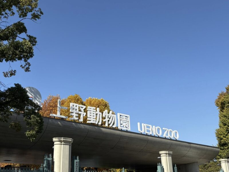 岐阜の結婚相談所グリーンリングのブログの画像　東京