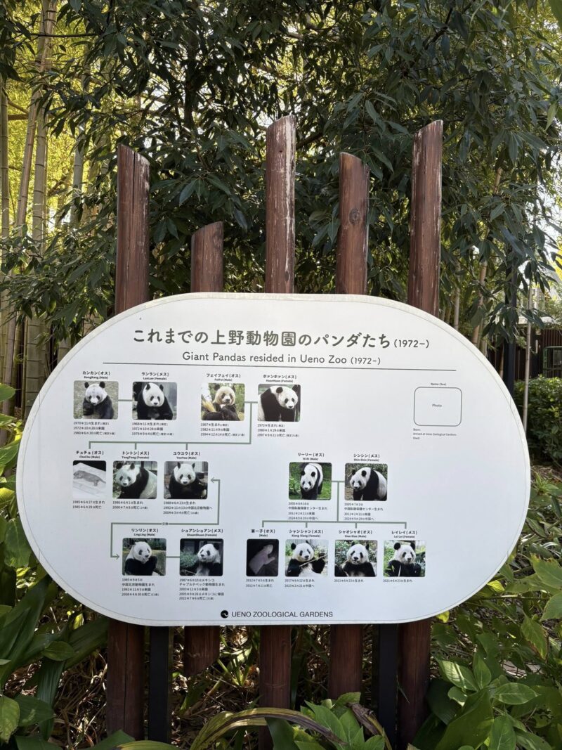 岐阜の結婚相談所グリーンリングのブログの画像　東京