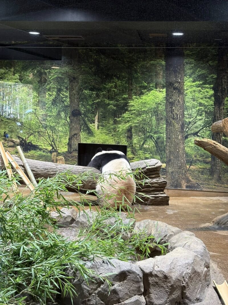 岐阜の結婚相談所グリーンリングのブログの画像　東京