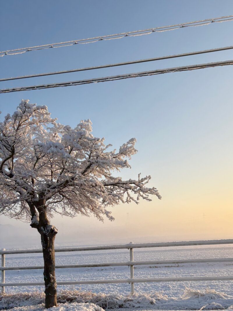 岐阜の結婚相談所グリーンリングのブログの画像　雪