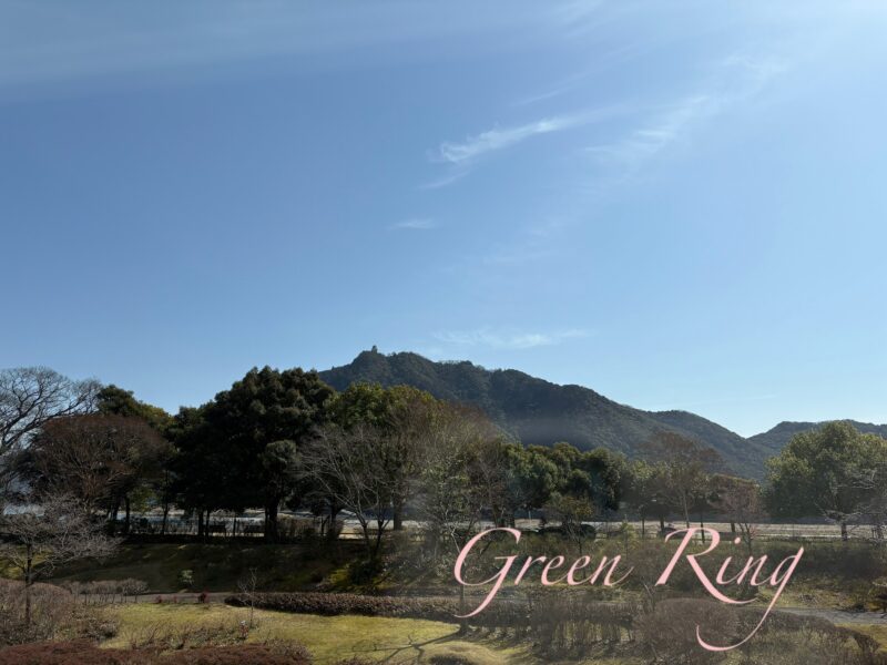 岐阜の結婚相談所グリーンリングのブログの画像　金華山