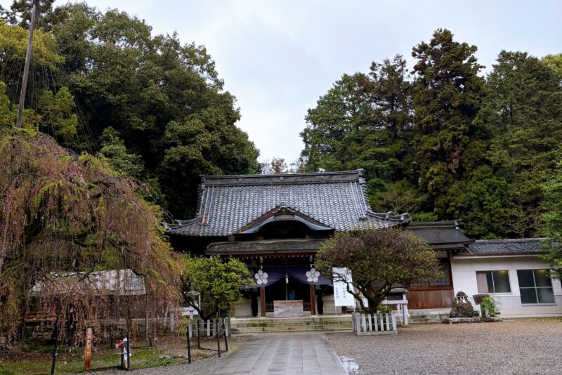 岐阜の結婚相談所グリーンリングのブログの画像　神社