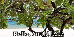 岐阜の結婚相談所グリーンリングのブログの画像　2026沖縄