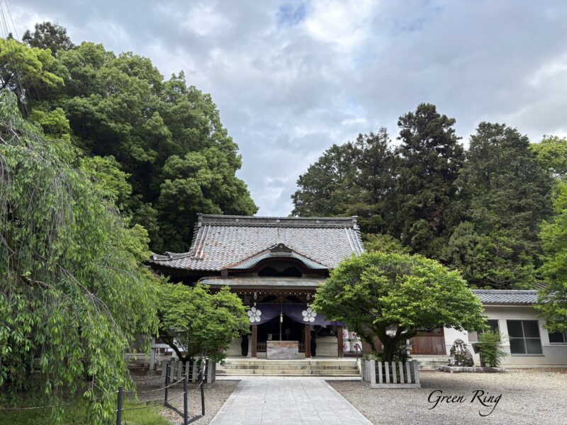 岐阜の結婚相談所グリーンリングのブログの画像　長良天神