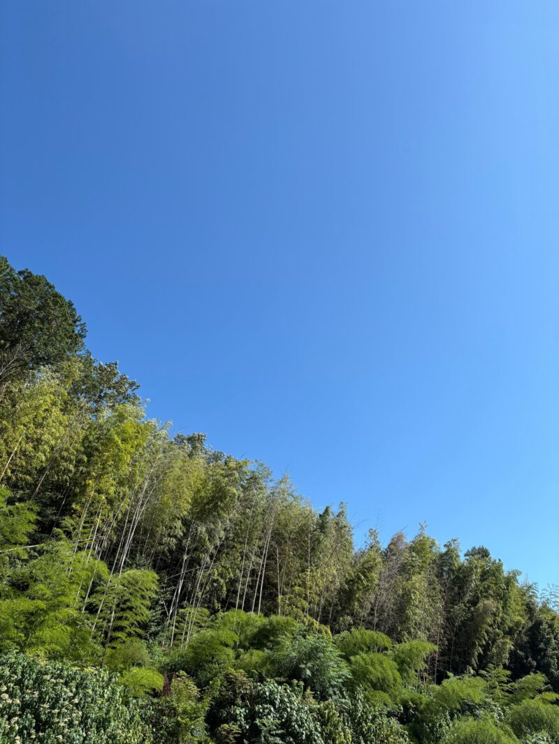 岐阜の結婚相談所グリーンリングのブログの画像　山